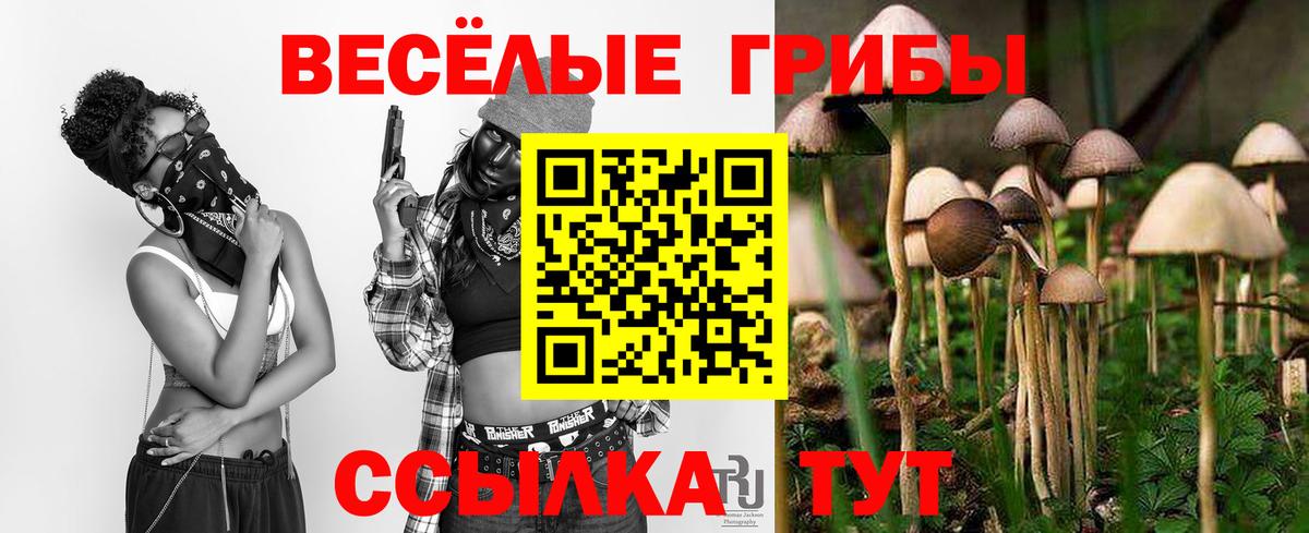 Псилоцибиновые грибы Magic Shrooms  Псилоцибиновые грибы мухоморы  Тайшет  Вход с VPN 